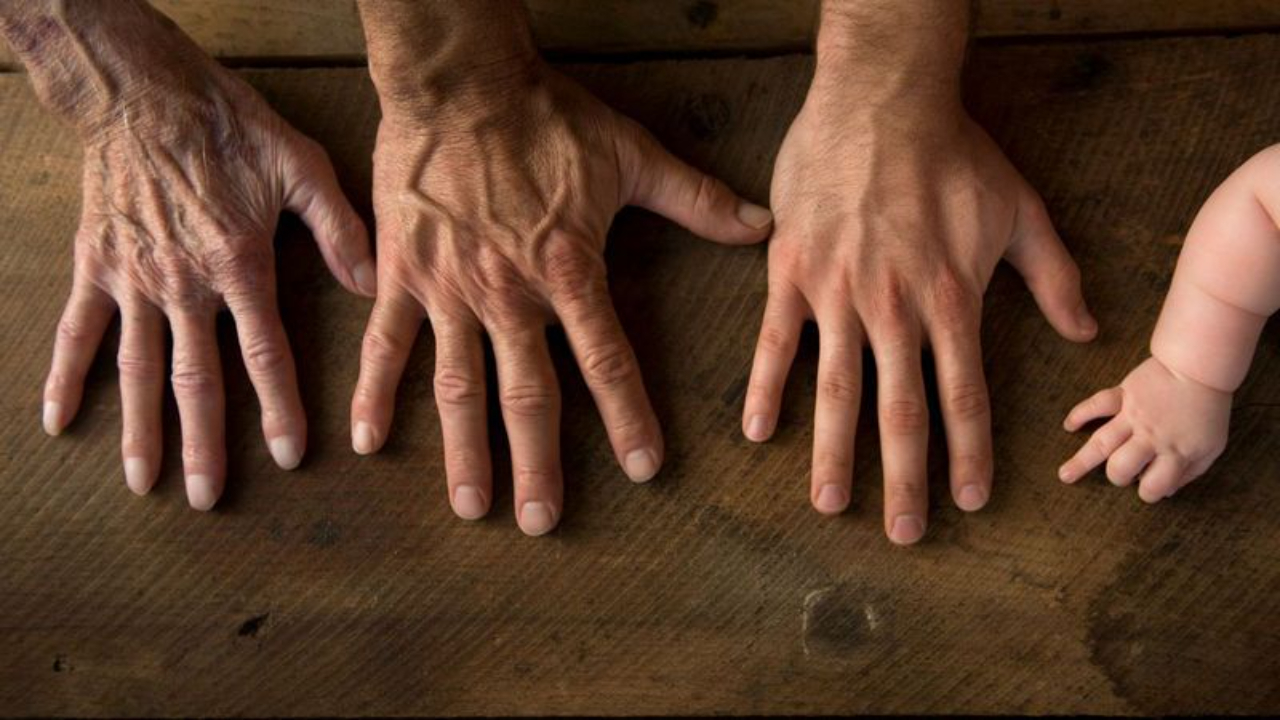 How Do You Break Generational Curses: 10 Biblical Guide — blog post by Sheila Renae Burns at Prayer Power Ministries