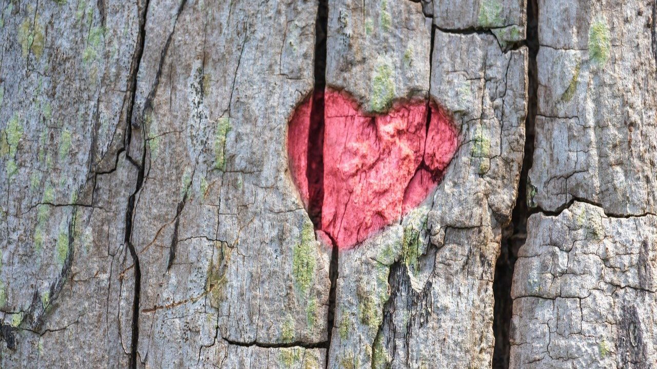 Healing Through the Word: How Scripture Supports Emotional Restoration — Healing & Trauma article from Prayer Power Ministries